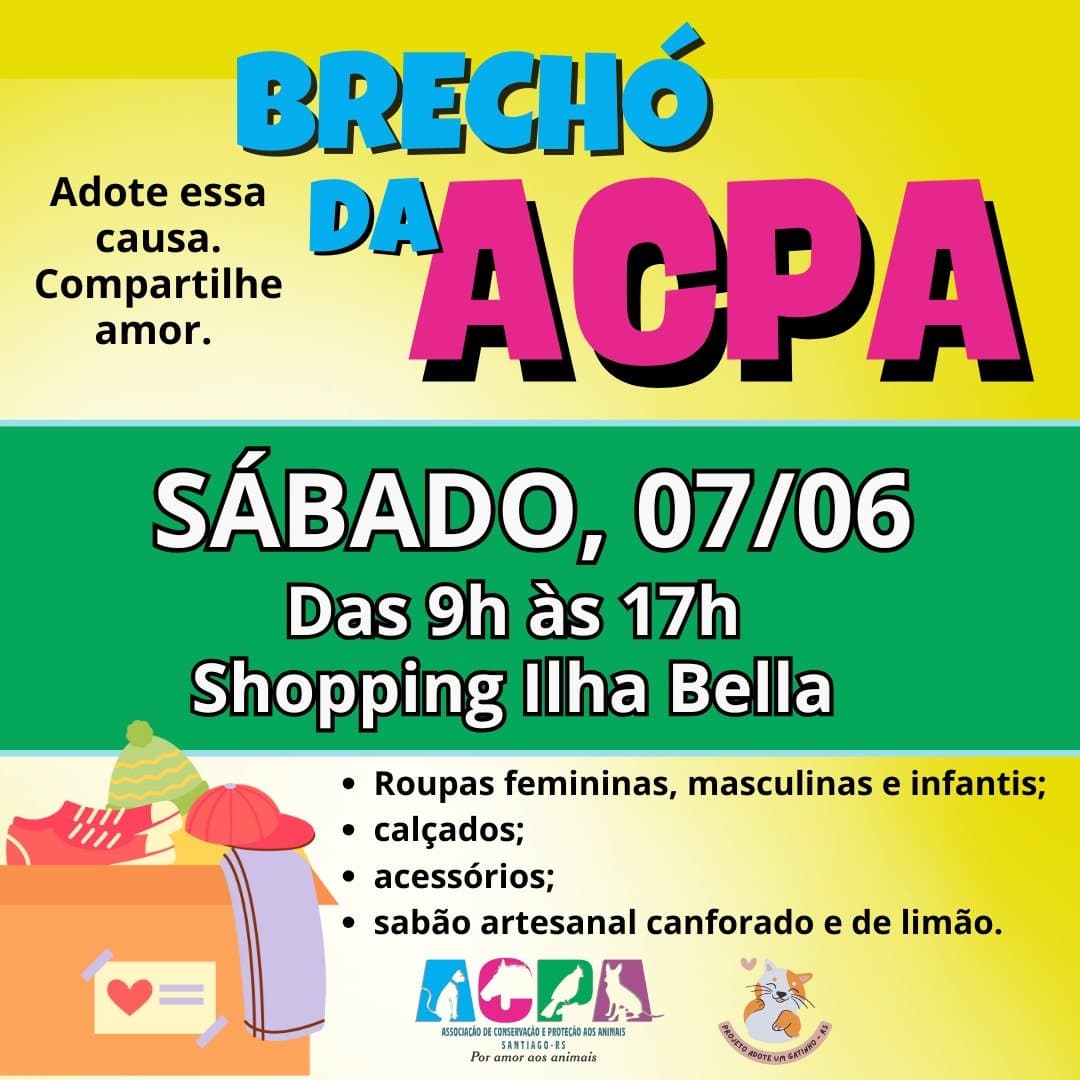 Brechó da ACPA e Projeto Adote um Gatinho: compras que fazem a diferença